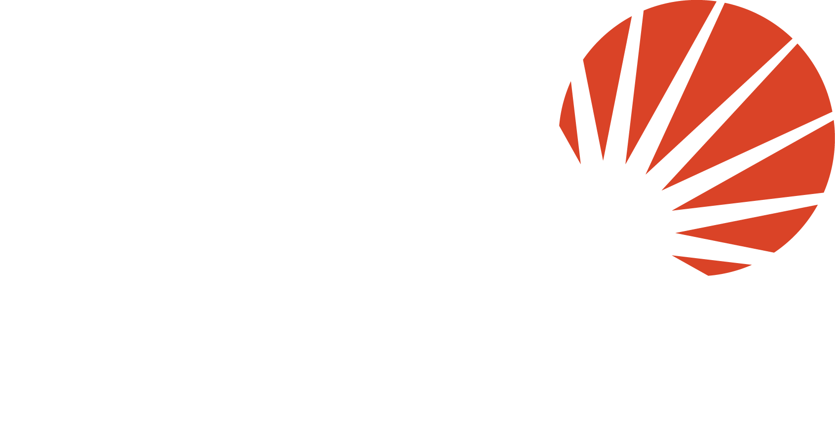Apache Solr Logo